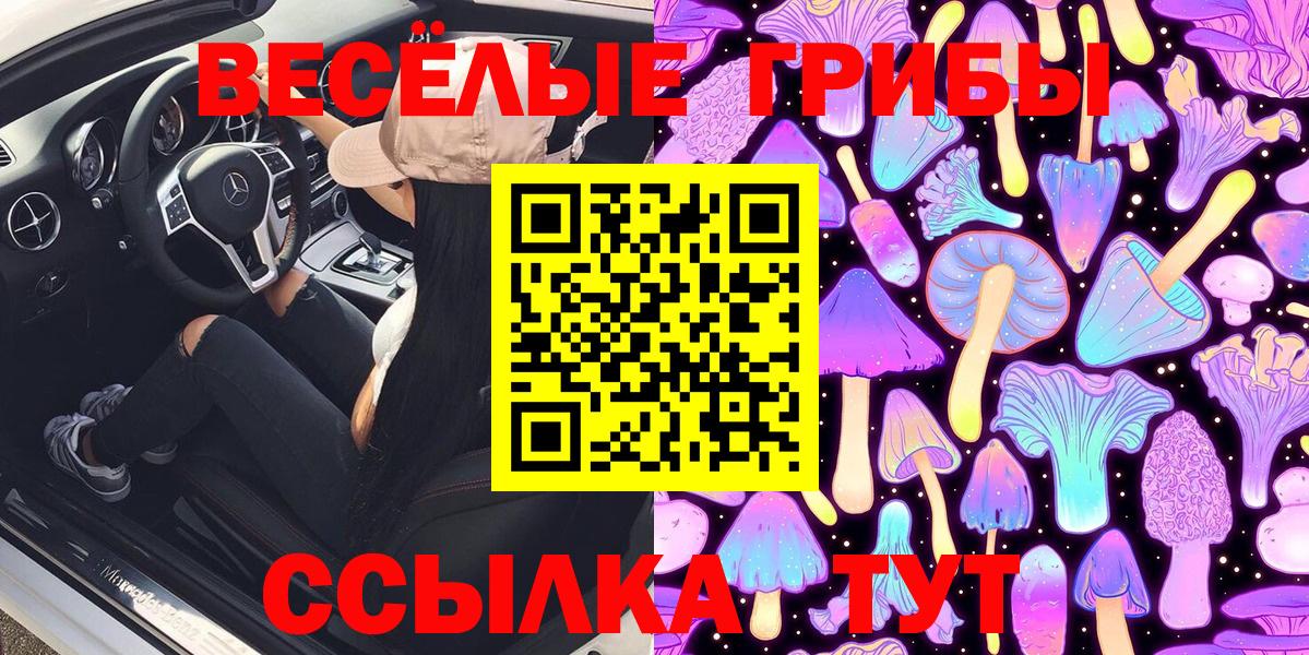 Псилоцибиновые грибы MAGIC MUSHROOMS Коммунар